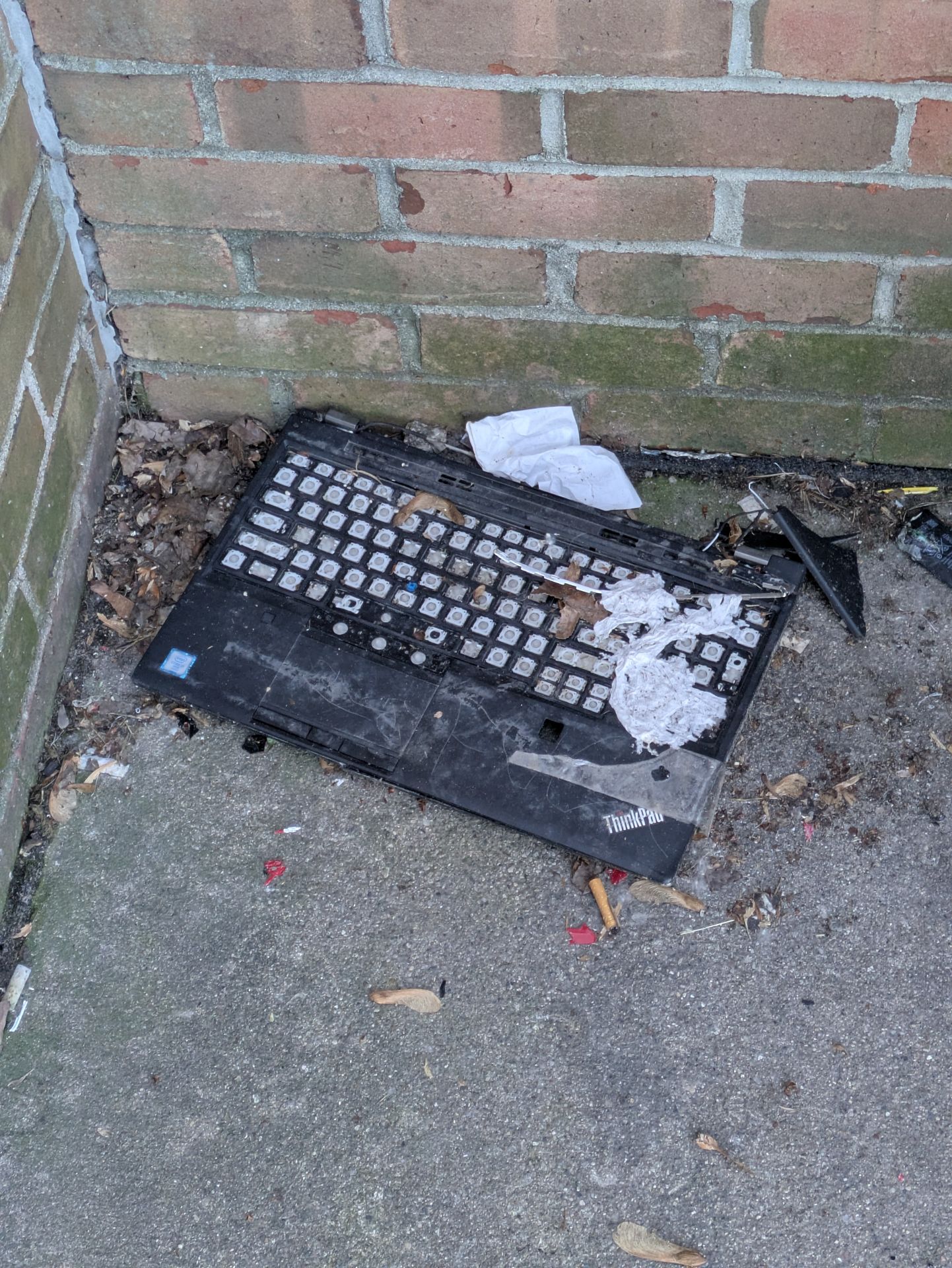 items from the dollar general parking lot — 2 of 2